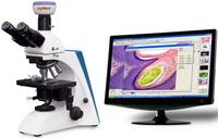 BK系列臨床、實驗室生物顯微鏡